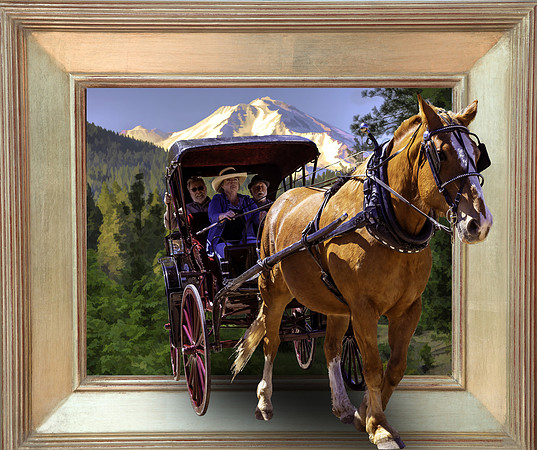 HORSE AND BUGGY OUT OF FRAME 2