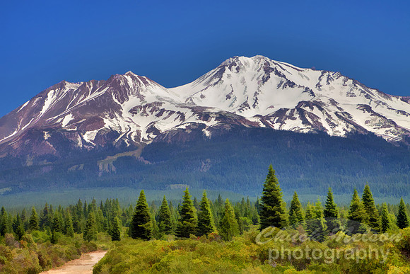 #482 - MOUNT SHASTA HDR TS (1:1.5)