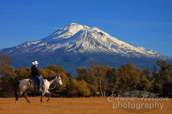 #617 - RIDER AND MT SHASTA 3 (1:1.5)