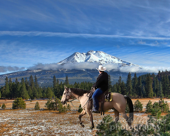 #616 - RIDER AND MT SHASTA 2 (1:1.25)