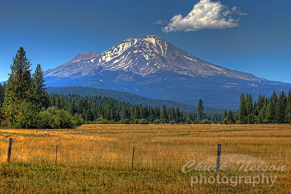 #276 - MOUNT SHASTA NEAR McCLOUD #5 PHDR TA (1:1.5)