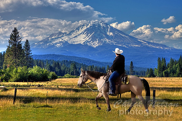 #615A - RIDER AND MT SHASTA 1 (1:1.5)
