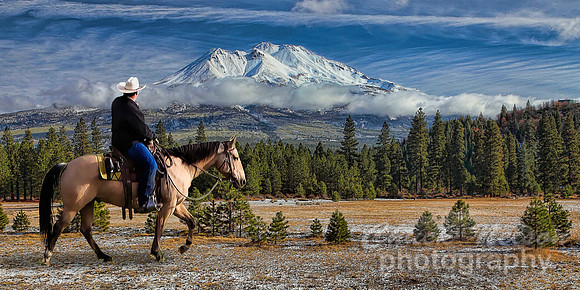 #630A - MT SHASTA AND RIDER TCL (1:2)