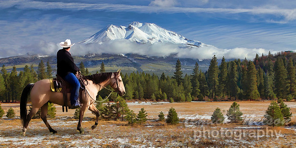 630B - MT SHASTA AND RIDER  TS (1:2)