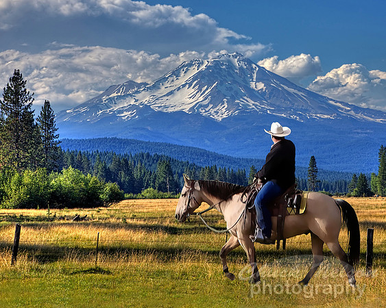 #615B - RIDER AND MT SHASTA 1 (8x10)