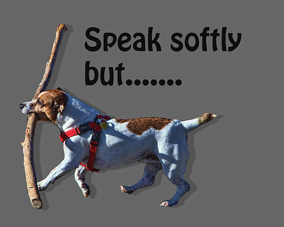speak softly.jpg