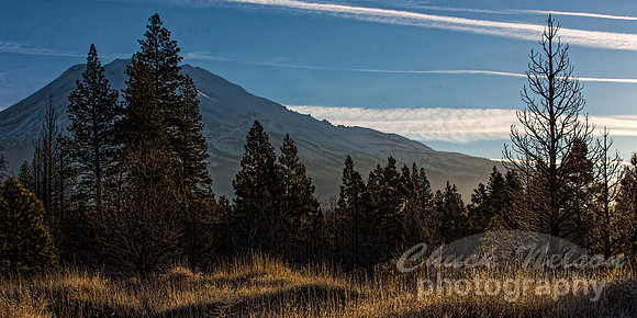 #637B - EARLY MORNING MT SHASTA (1:2)