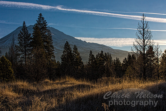 #637A - EARLY MORNING MT SHASTA (1:1.5)