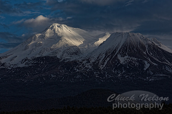 #646A - MT SHASTA TD (8X12)
