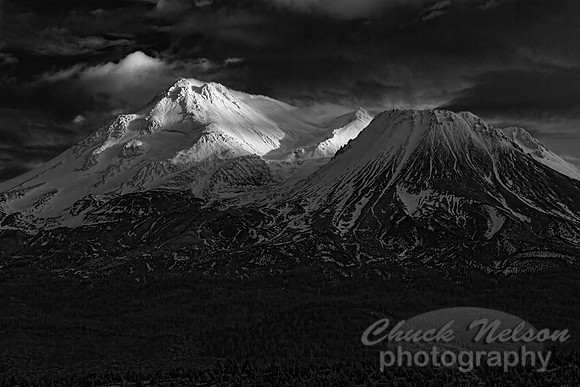 #646B - MT SHASTA IN BLACK AND WHITE TDBW  (1:1.5)