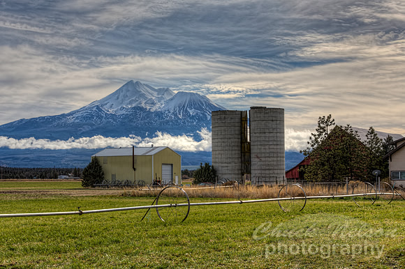#651A - MT SHASTA WITH FARM HDR (1:1.5)