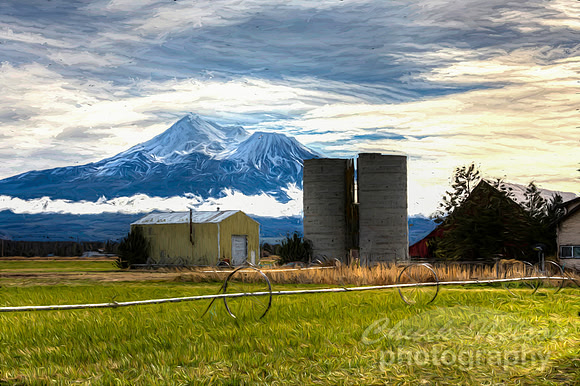 #651D - MT SHASTA WITH FARM - PAINTERLY HDR (1:1.5)