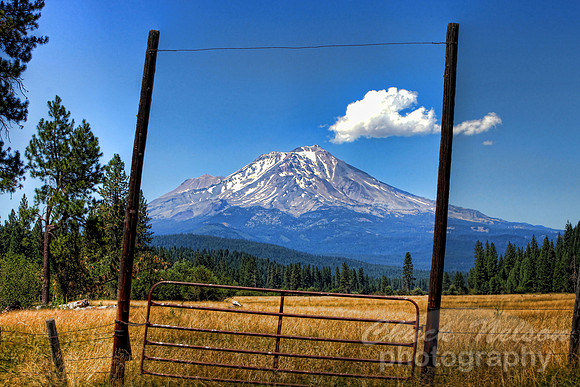#275 - MOUNT SHASTA NEAR McCLOUD #4 HDR TA (1:1.5)