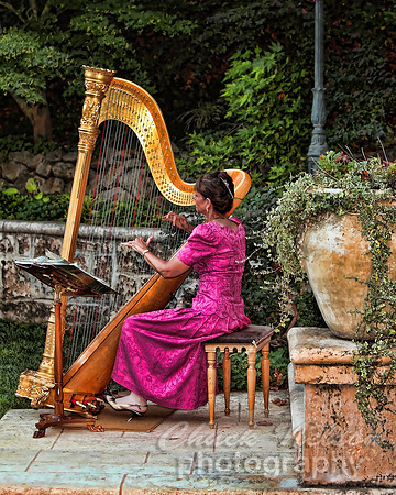 #295 - HARPIST #4 TA TC (1:1.25).jpg