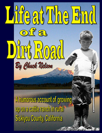 Cover to LIFE AT THE END OF A DIRT ROAD. Find it on Amazon, Borders, AuthorHouse, etc.