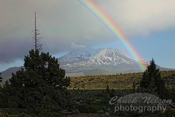 #265 - RAINBOW #6 TA (1:1.5)