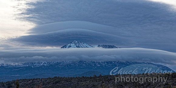 #519 - MOUNT SHASTA WITH CLOUDS TD (1:2)