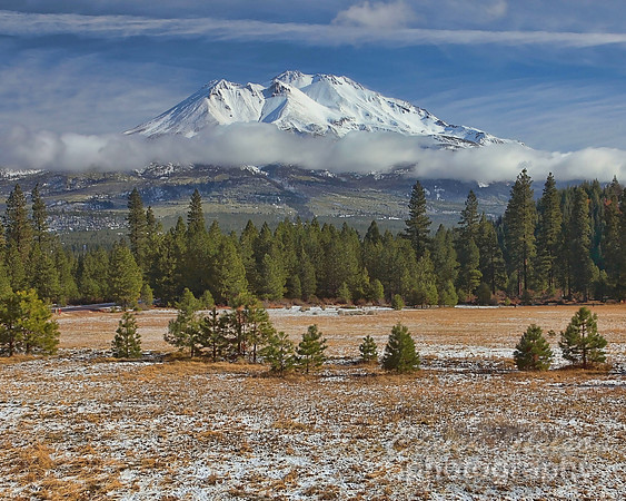 #310B - MT SHASTA ACROSS A FIELD OF SNOW (1:1.25).jpg
