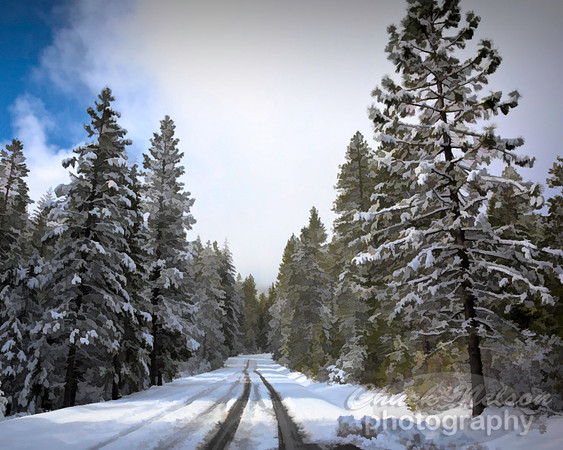 #656A -  SNOW ROAD TDS (1:1.25)
