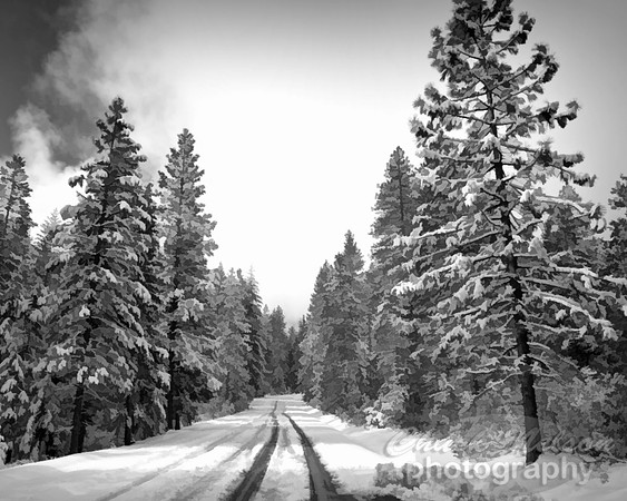 #656B - SNOW ROAD TDSBW (1:1.25)