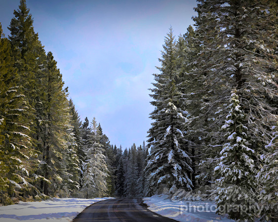 #657C - WINTER ROAD TDS (1:1.25)