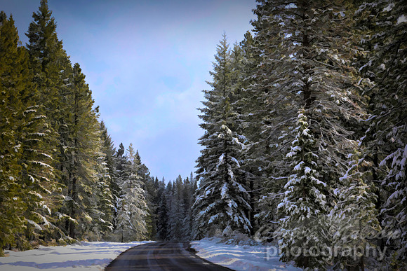 #657B - WINTER ROAD TDS (1:1.5)
