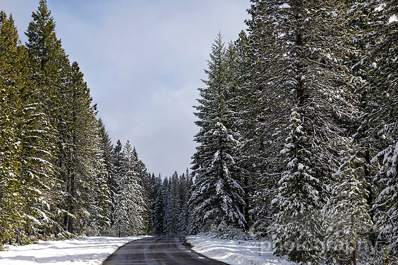 #657A - WINTER ROAD TD  (1:1.5)