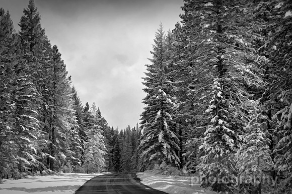 #657D - WINTER ROAD TDSBW (1:1.5)