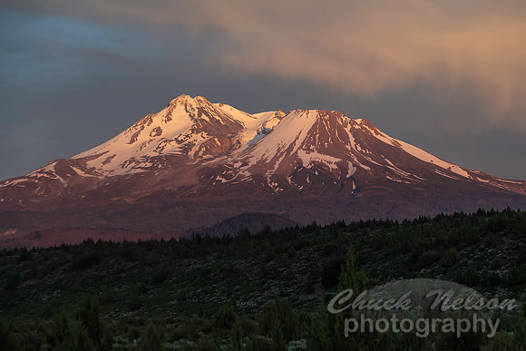 #664 - MT SHASTA SUNSET (1:1.5)