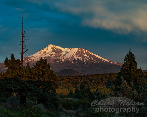#663B -  MT SHASTA SUNSET (1:1.25)