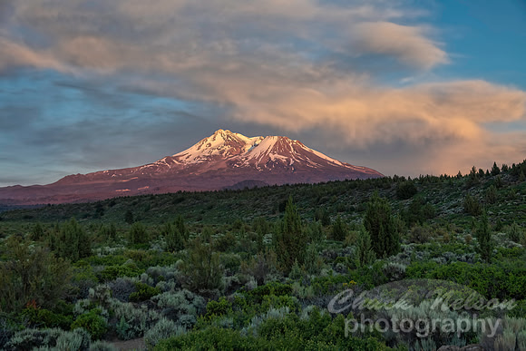 #665 - MT SHASTA SUNSET (1:1.5)