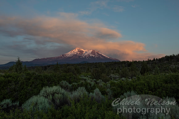 #666 - MT SHASTA SUNSE3T (1:1.5)