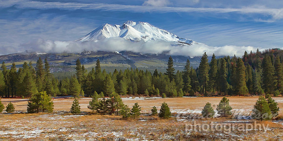 #310D - MT SHASTA ACROSS A FIELD OF SNOW TS (1:2).jpg