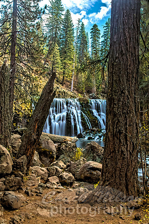 #680 - MIDDLE FALLS ON THE McCLOUD (1:1.5)