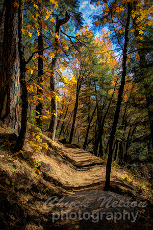 #690B - PATH IN THE WOODS - PAINTERLY (1:1.5)
