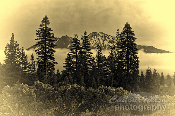 #474B - MOUNT SHASTA TA-BW (1:1.5)