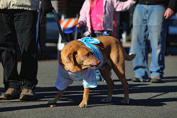 img_2235_11-28-09 TA 8X12