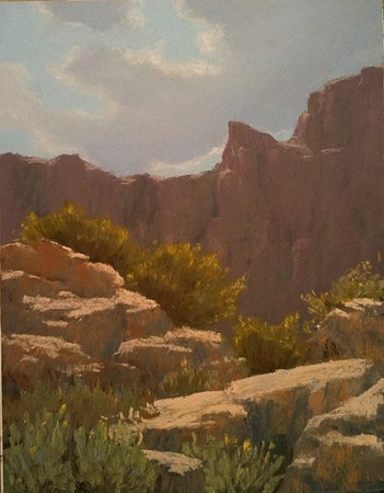 Step Desert