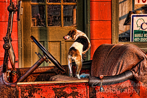 #148C - 1915 DODGE AND DOG -T (1:1.5)
