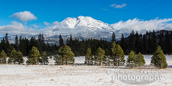 #522C - MT SHASTA WITH FRESH SNOW TD (1:2)