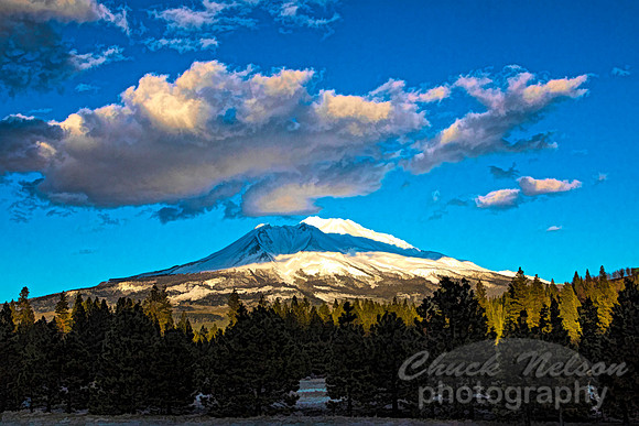 #691B -  MT SHASTA WITH CLOUDS TS (1:1.5)