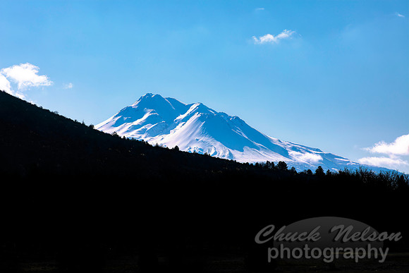 #693A - MT SHASTA (1:1.5)