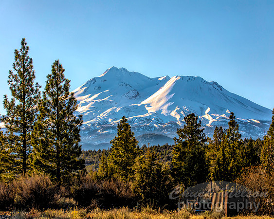 #692B - MT SHASTA (1:1.25)