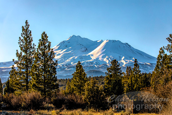 #692A - MT SHASTA (1:1.5)