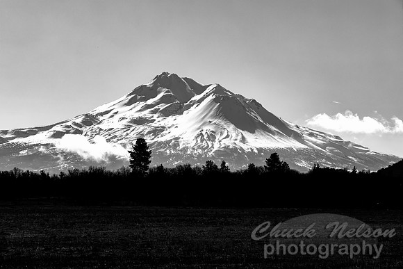 #694B - MT SHASTA BLACK AND WHITE (1:1.5)