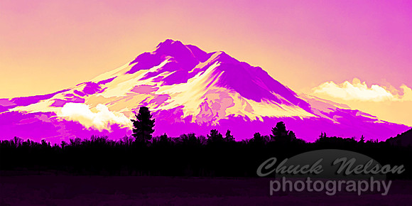 #694D - MT SHASTA ABSTRACT (1:2)