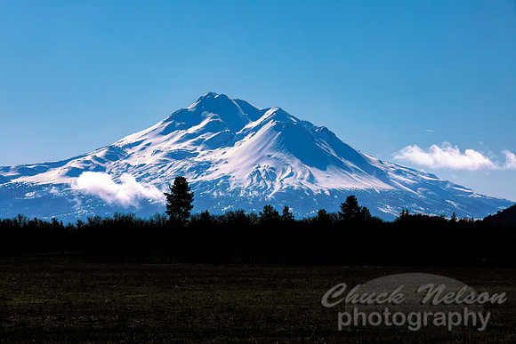 #694A - MT SHASTA (8X12)