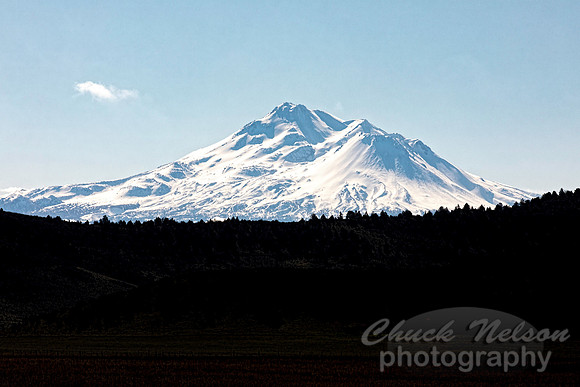 #695A - E75A0744 MT SHASTA (1:1.5)