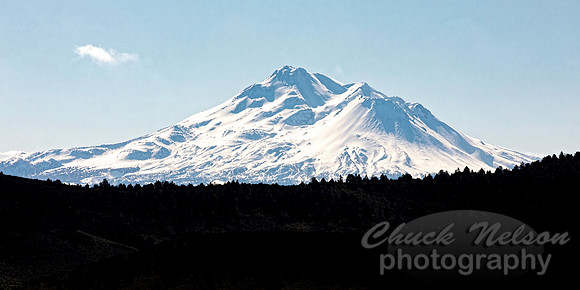 #695B - MT SHASTA (1:2)