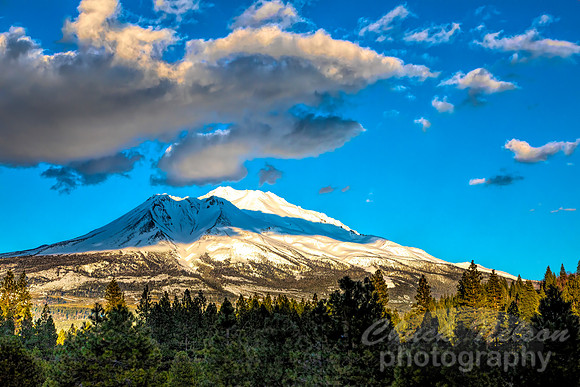 701A - MT SHASTA WITH CLOUDS (1:1.5)